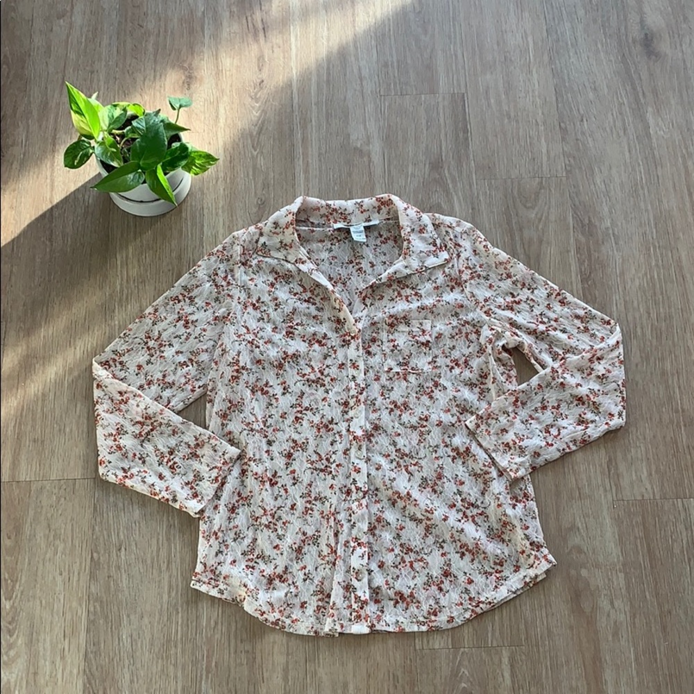 🌹American Rag sheer button up🌹